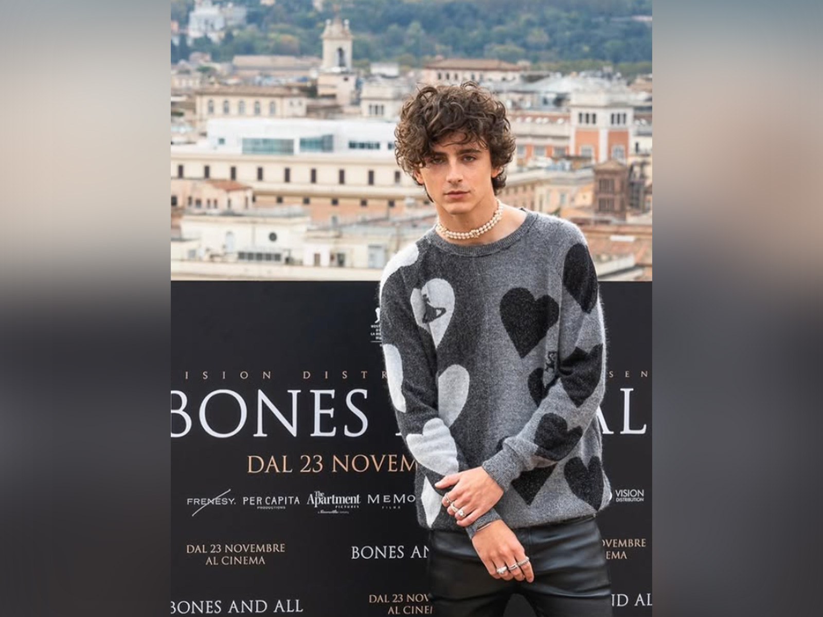 Timothee Chalamet (Photo/Instagram/@tchalamet)