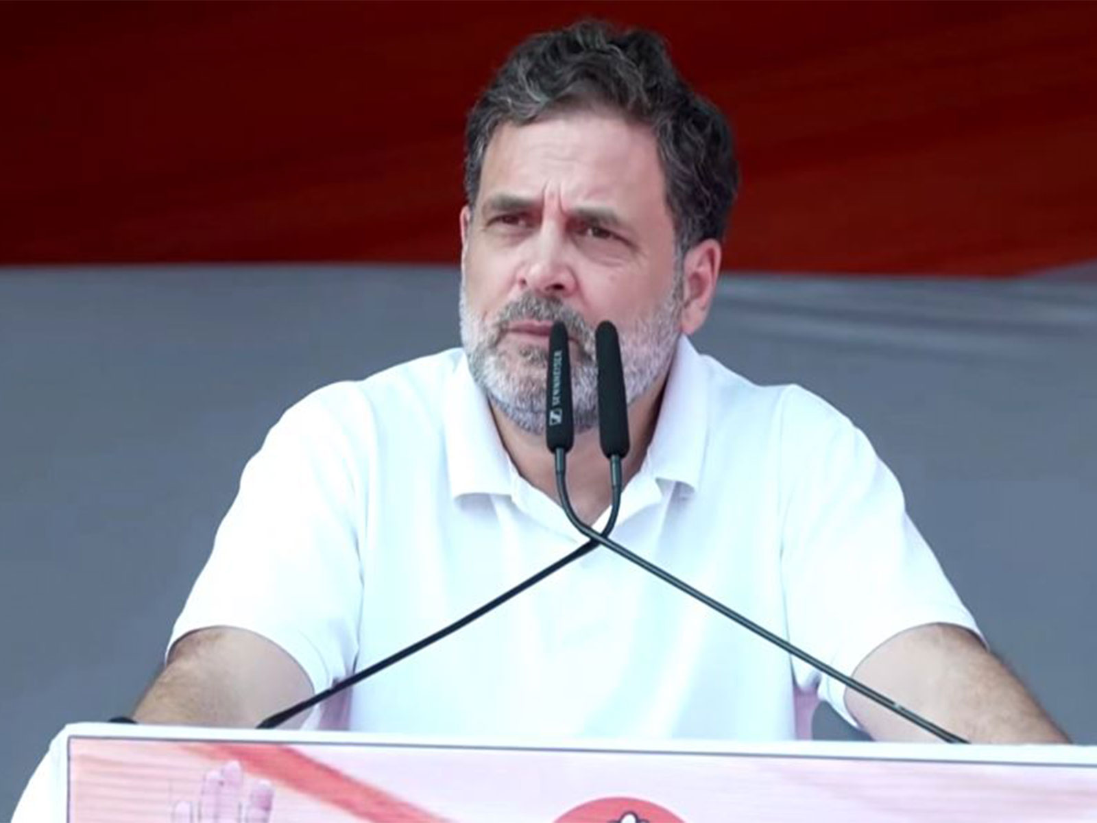 LoP in Lok Sabha Rahul Gandhi (Photo/Rahul Gandhi's social media)