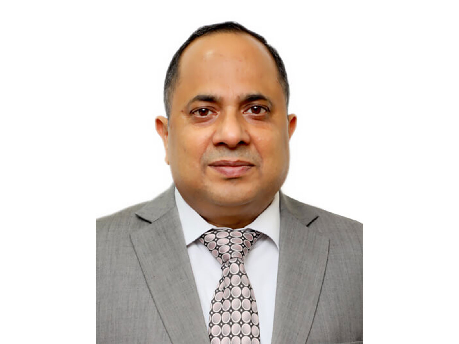 Ghanshyam Prasad, Chairperson, Central Electricity Authority (Photo/CEA website)