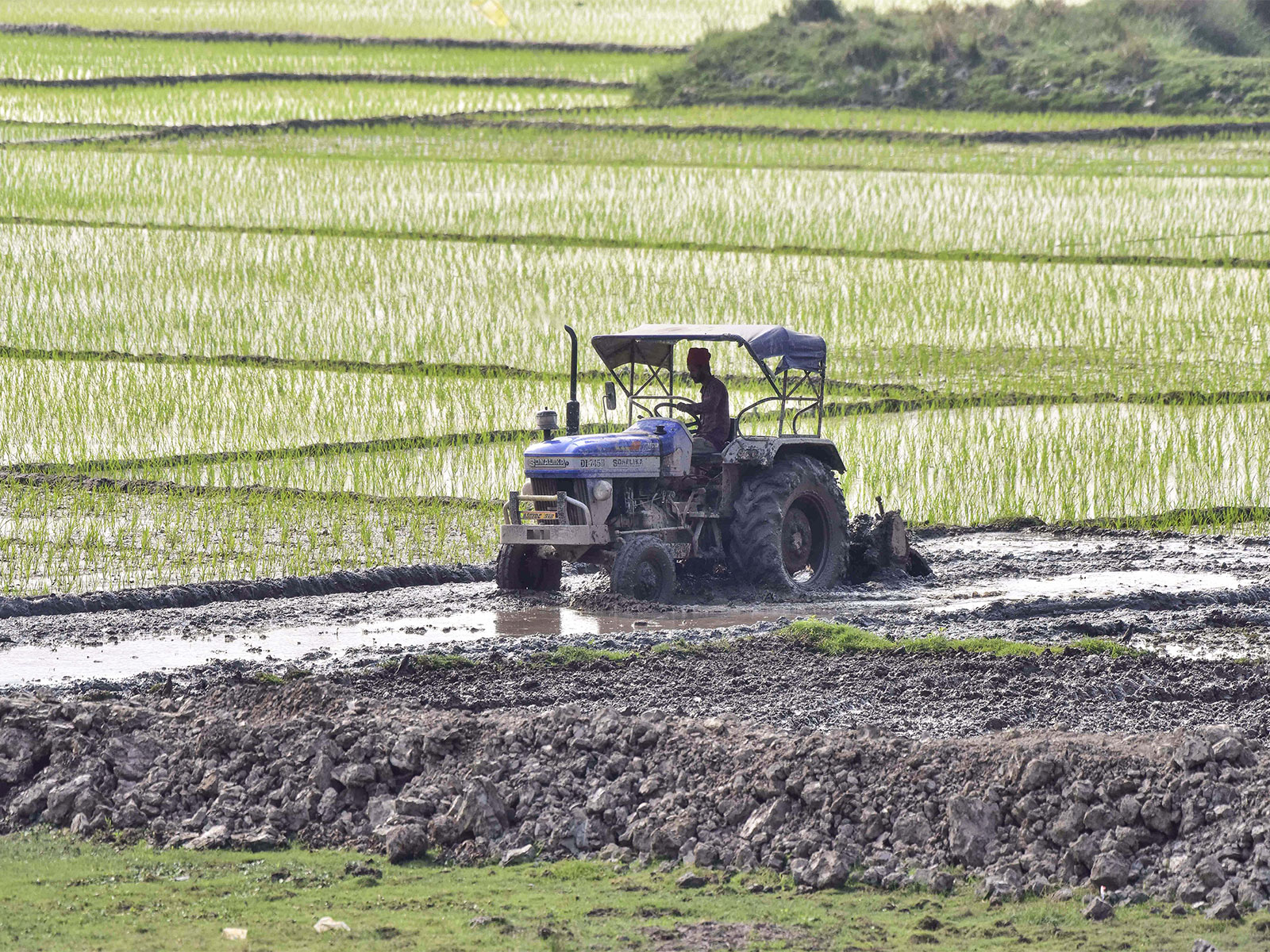 A farmer ploughs a field for paddy plantations using a power tractor (File Photo/ANI)
