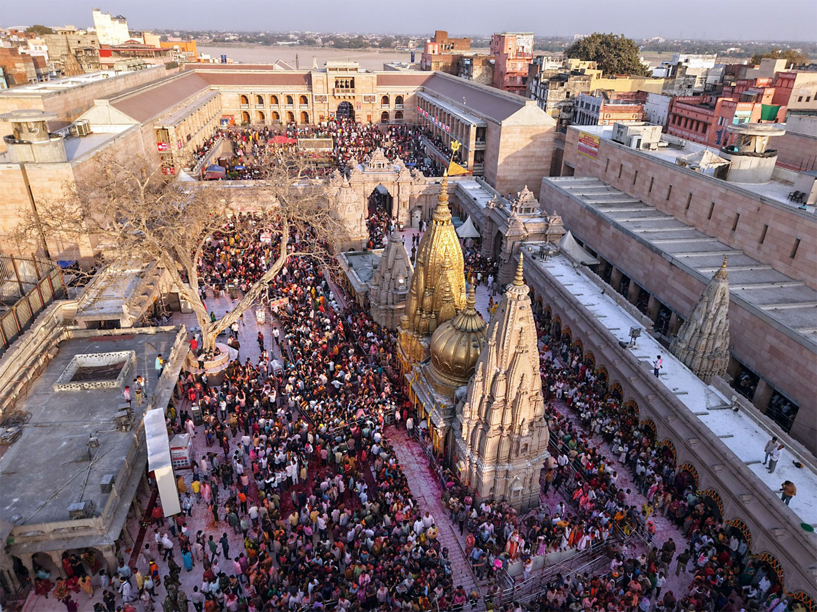 Devotees celebrate Holi during Rang Bhari Ekadashi at Kashi Vishwanath Temple, in Varanasi (Photo/ANI)