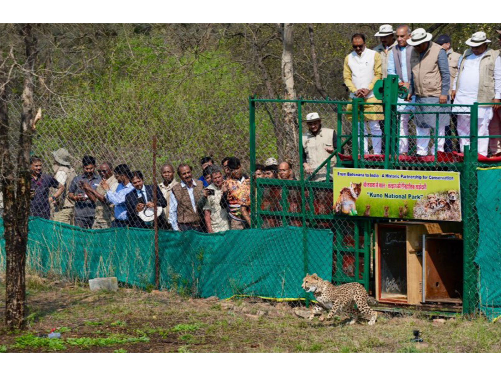 Union Environment Minister Bhupender Yadav welcomes 9 Cheetahs from Botswana, at Kuno National Park  (Photo/X@byadavbjp)