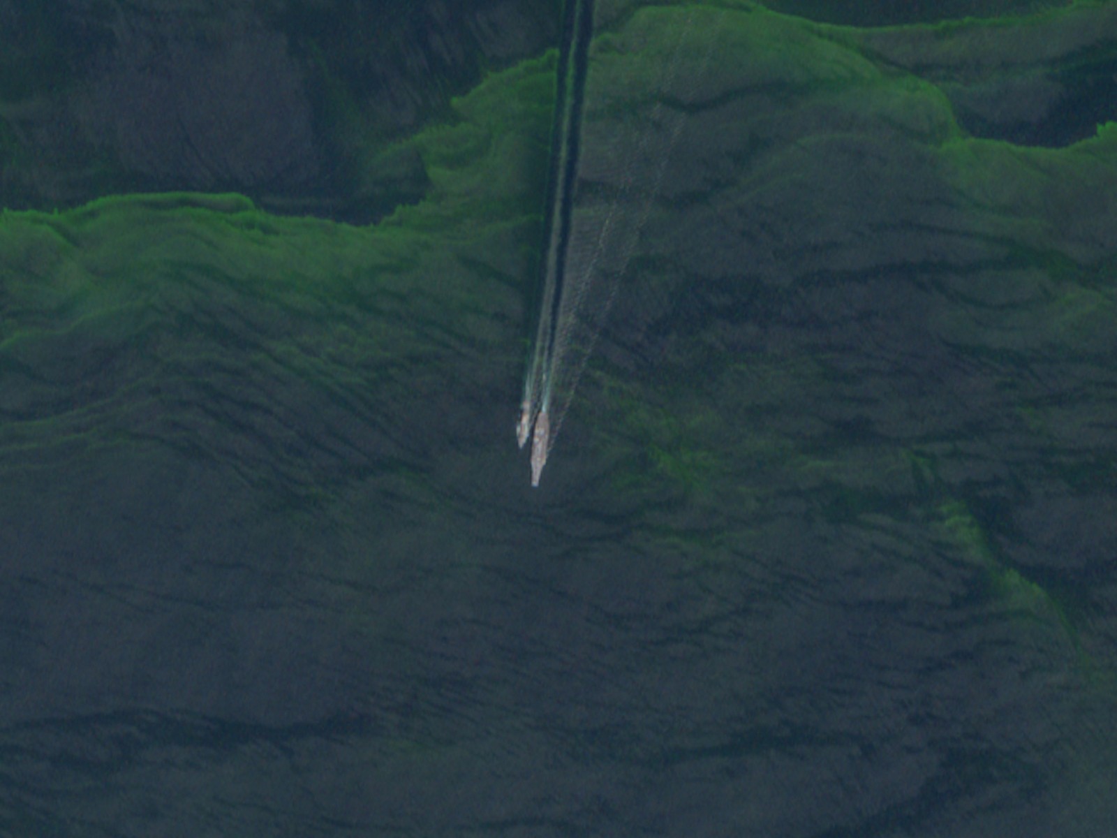 U.S. Navy Nimitz-class aircraft carrier USS Abraham Lincoln operates in the Arabian Sea (Photo/Reuters)