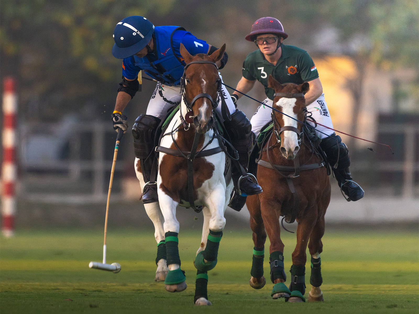 Players in action during a polo match. (Photo/Sunjay Kapur Memorial Cup)