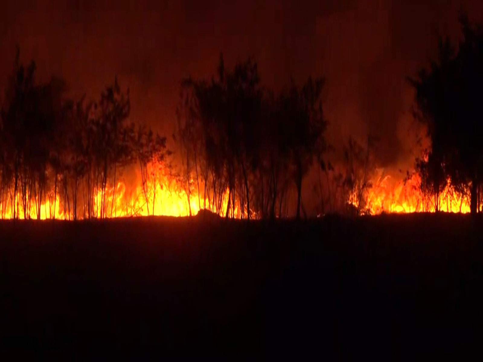 Visuals of the spot (Photo/ANI) Visuals of the spot (Photo/ANI)