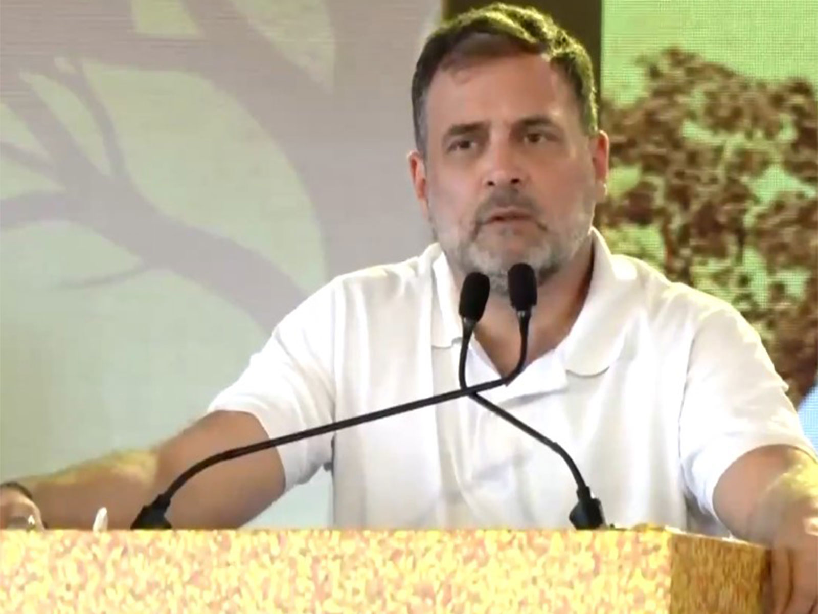 LoP Lok Sabha Rahul Gandhi (Photo: ANI)