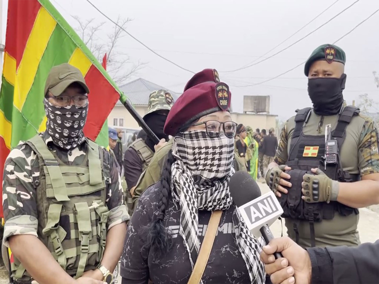 Central Village Defence Force Liaison Officer Rose Ngaihte (Photo/ANI)