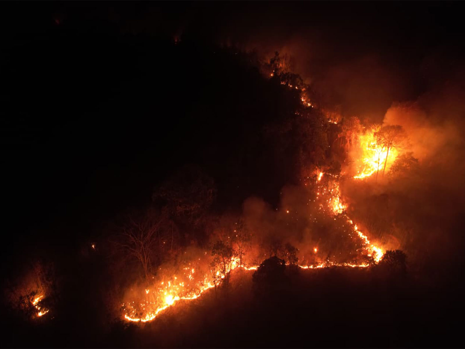 Forest fire in Mebo and Sigar areas of Pasighat in Arunachal Pradesh (Photo/x/@IAF_MCC)