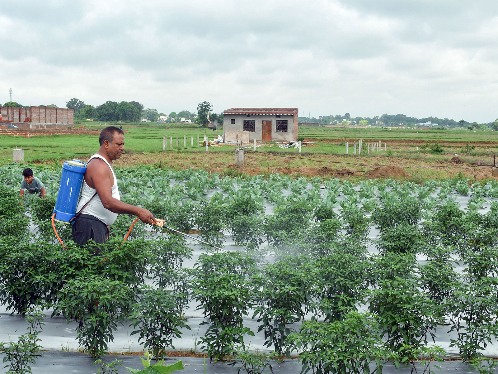 Representative Image (File Photo/ANI)