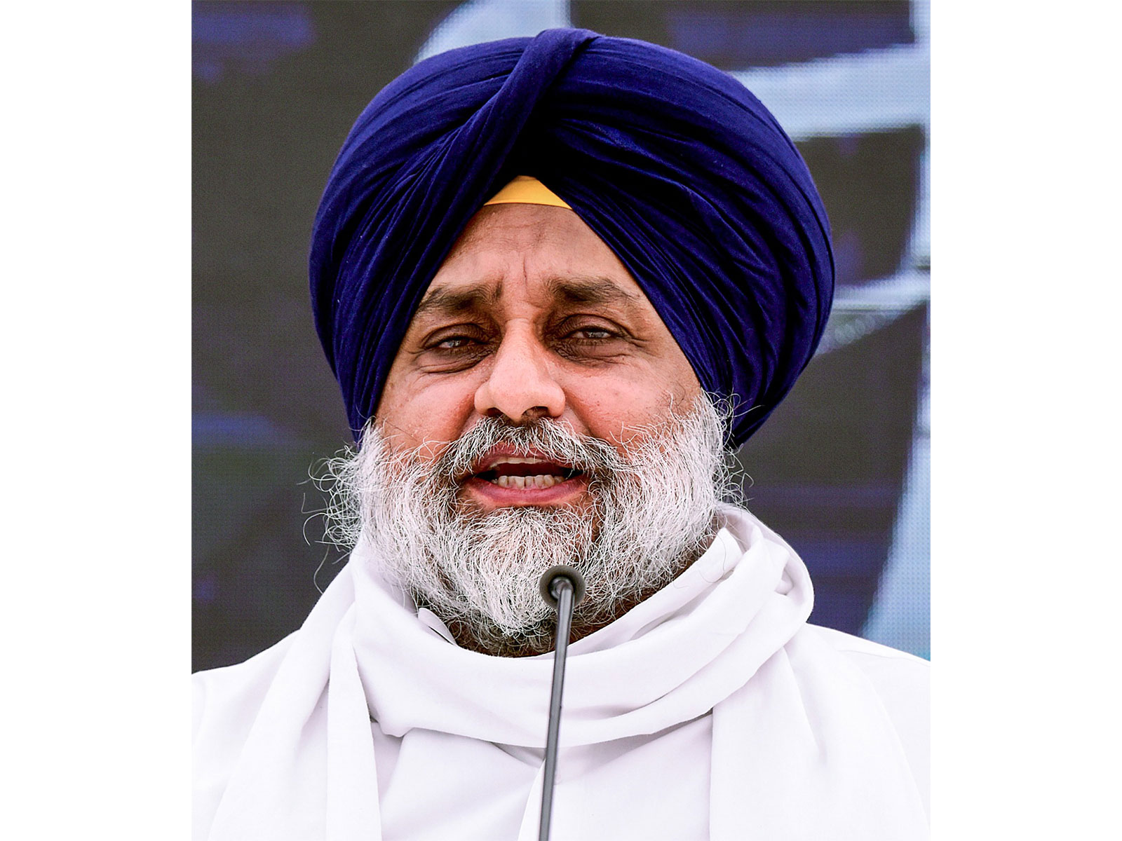 SAD chief Sukhbir Singh Badal (Photo/ANI)