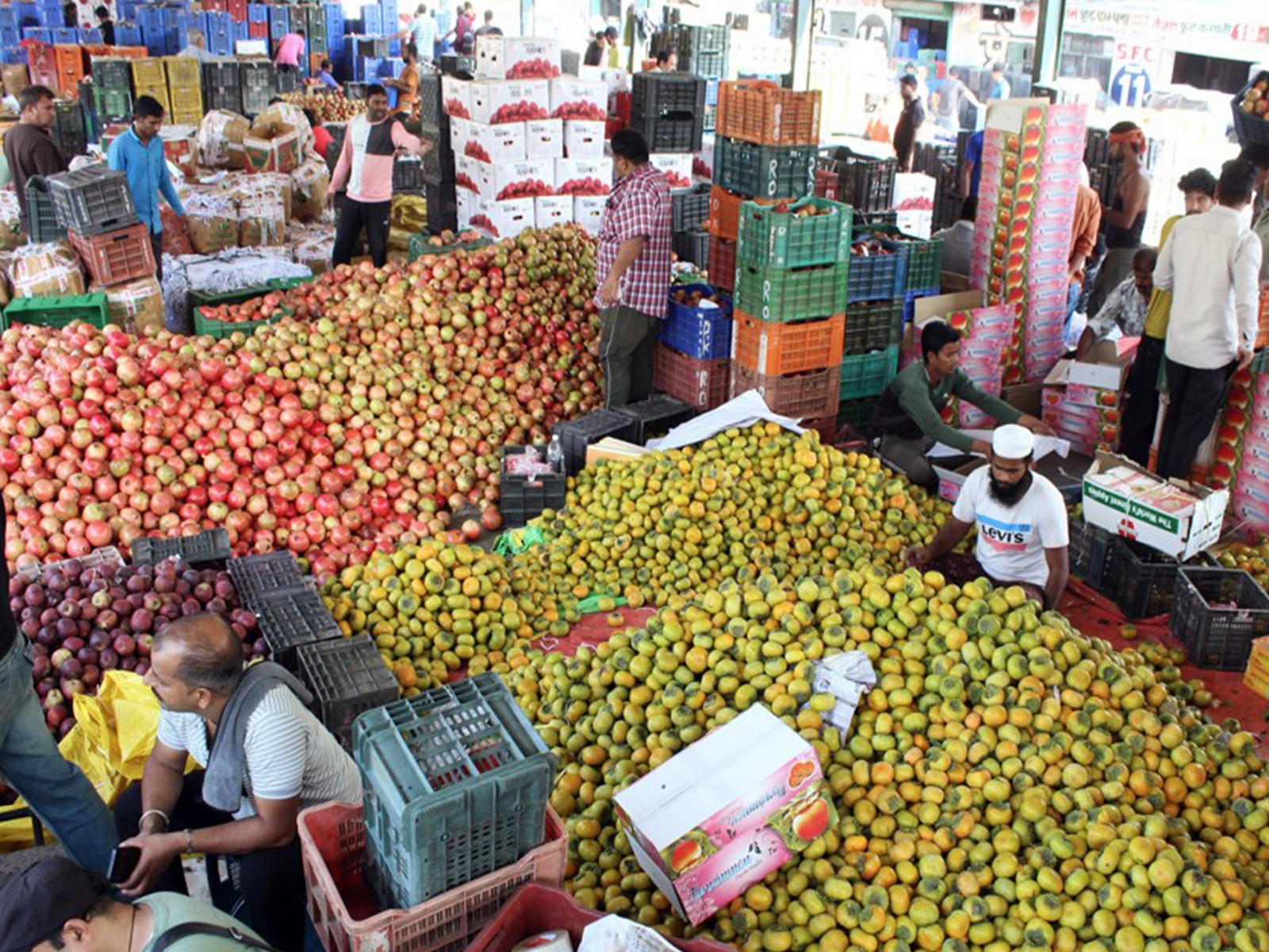 Representative Image of a vegetable market (Photo/ANI) Representative Image of a vegetable market (Photo/ANI)