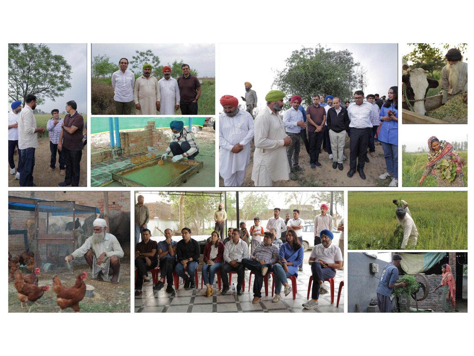 PwC India Foundation strengthens climate resilient livelihoods for more than 400 farming households through flood recovery initiatives PwC India Foundation strengthens climate resilient livelihoods for more than 400 farming households through flood recovery initiatives