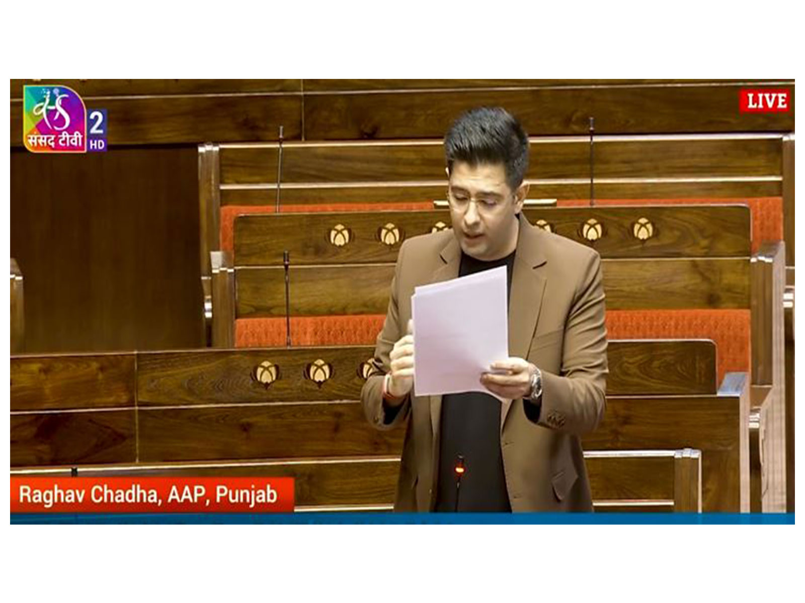 AAP MP Raghav Chadha (Photo/Sansad TV)
