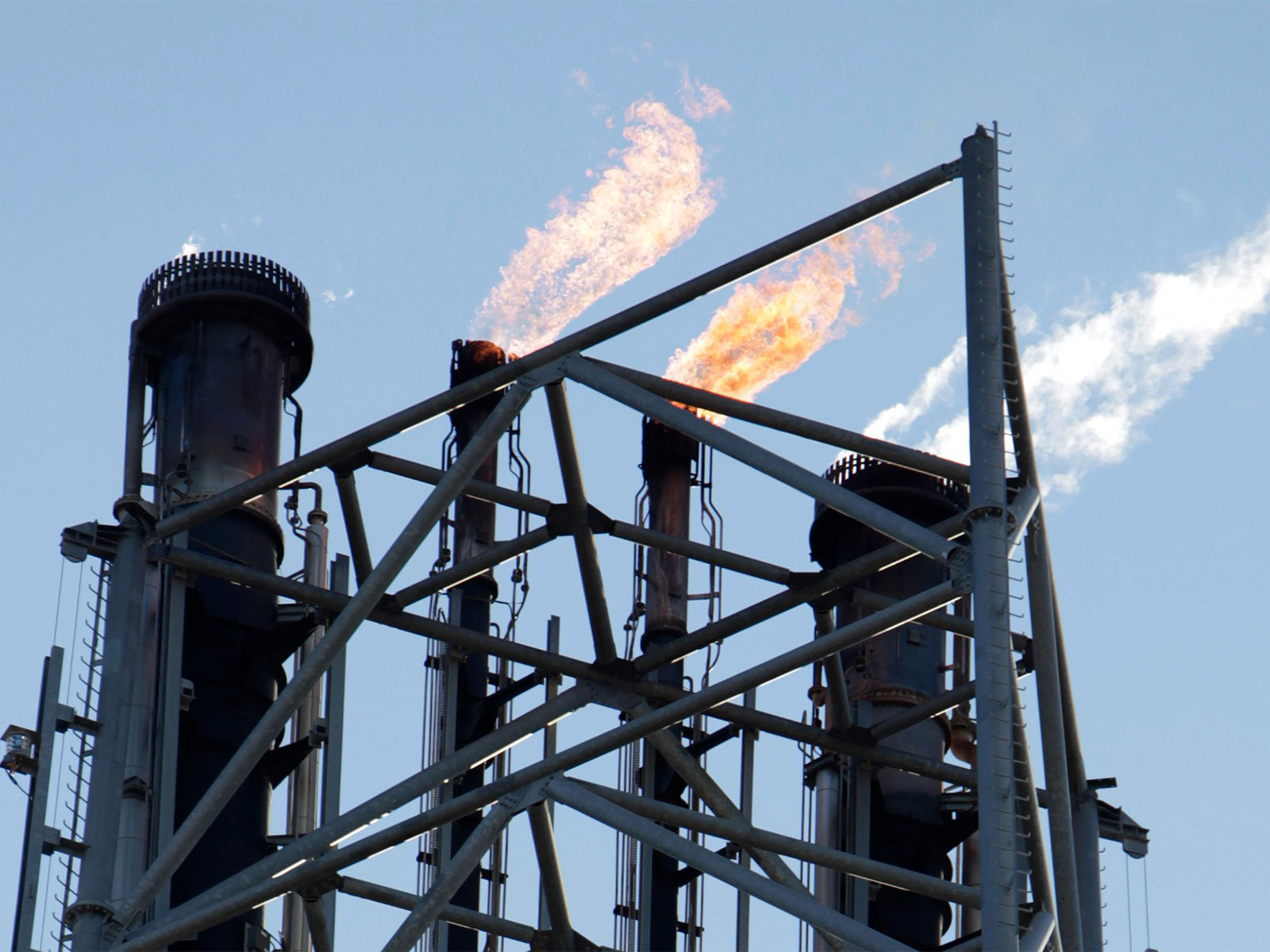 Representative Image (File Photo/ Reuters) Representative Image (File Photo/ Reuters)