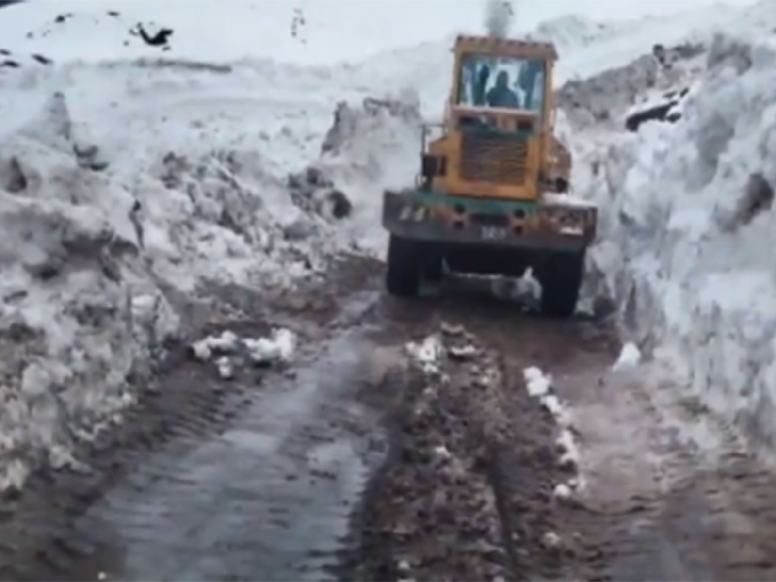 Visual from Bandipora Jammu and Kashmir (Photo/ANI)