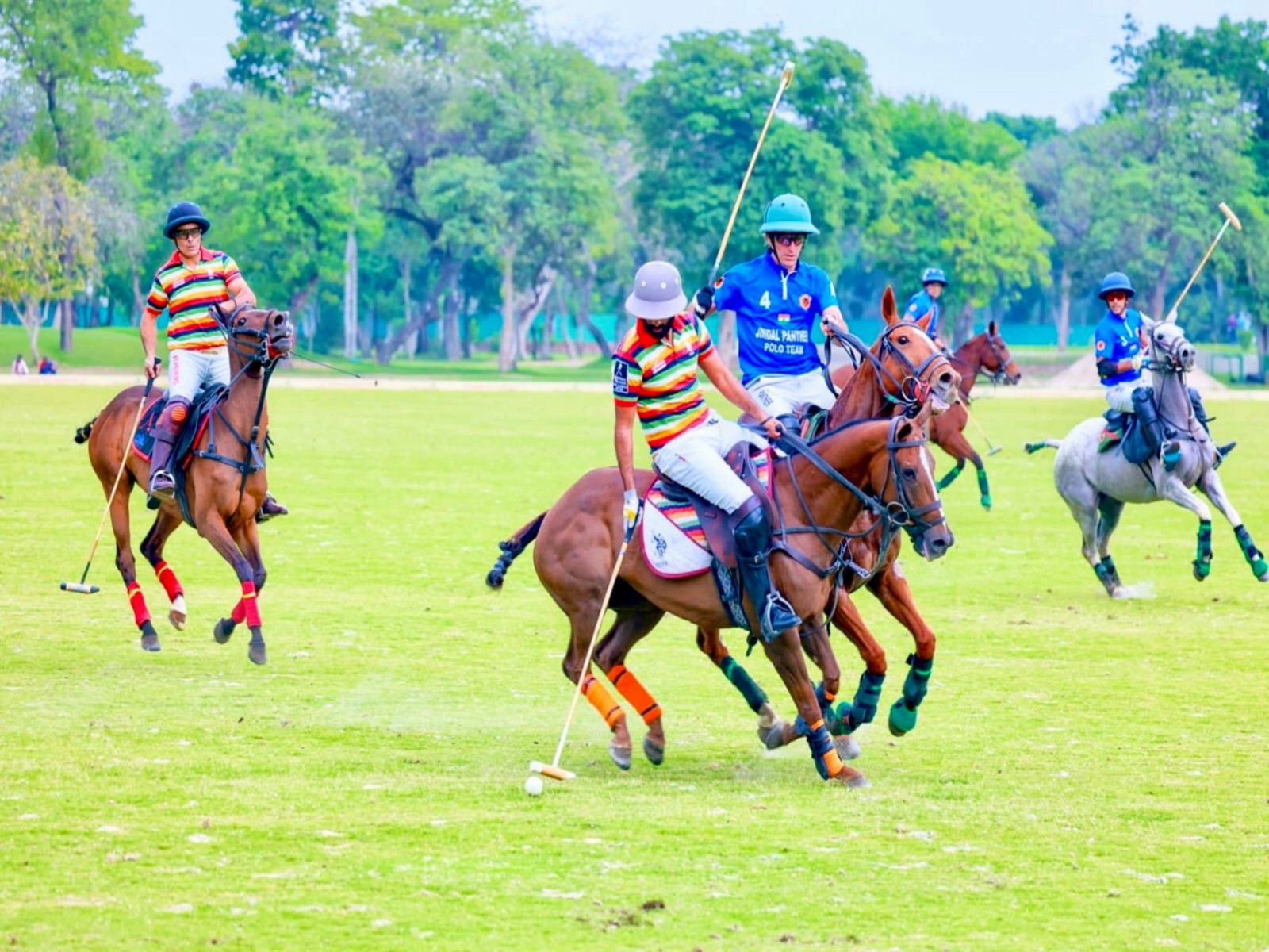 Polo players in action (Photo/Indian Open Polo Championship)