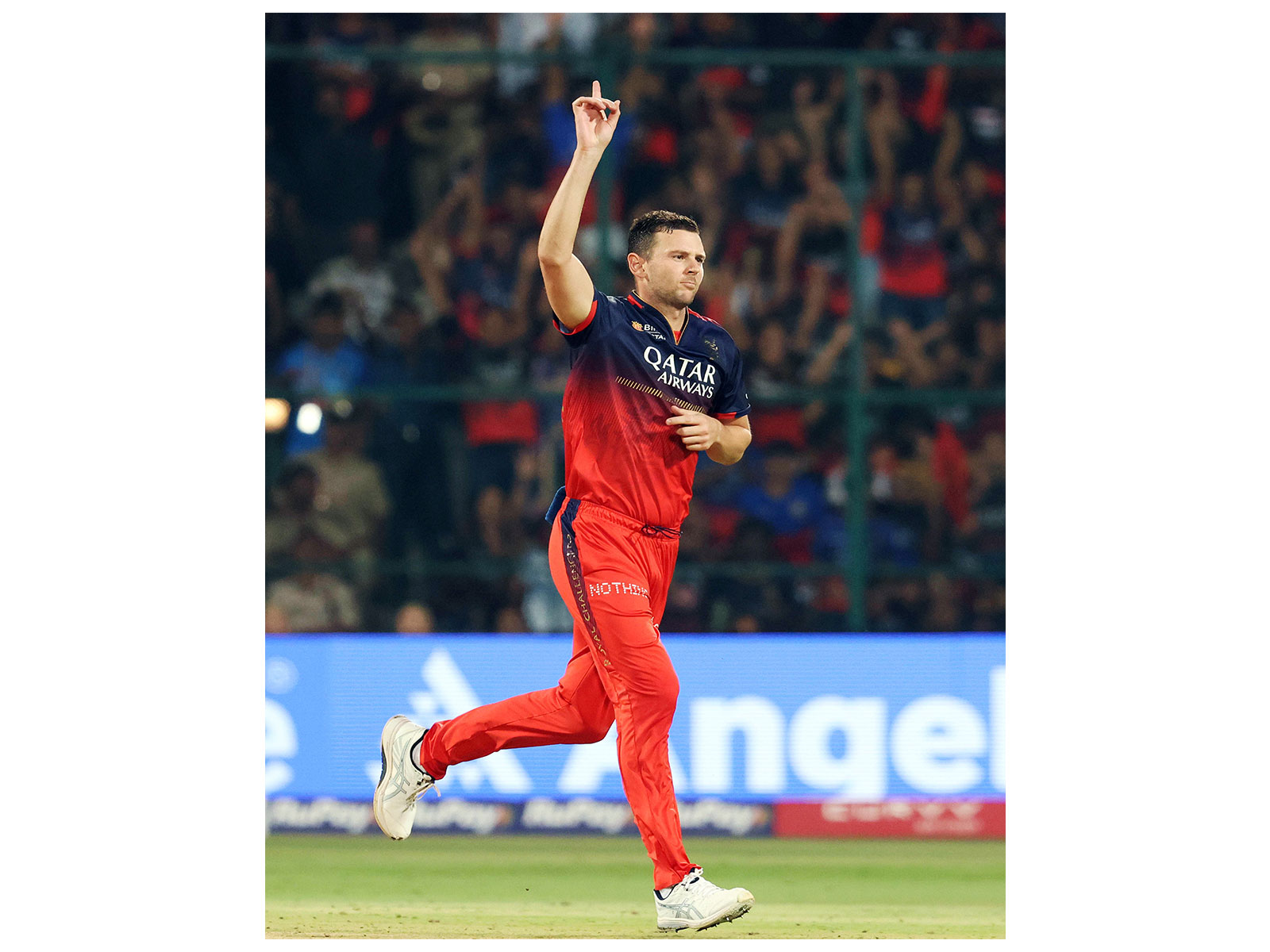 Josh Hazlewood (File Photo/ANI)