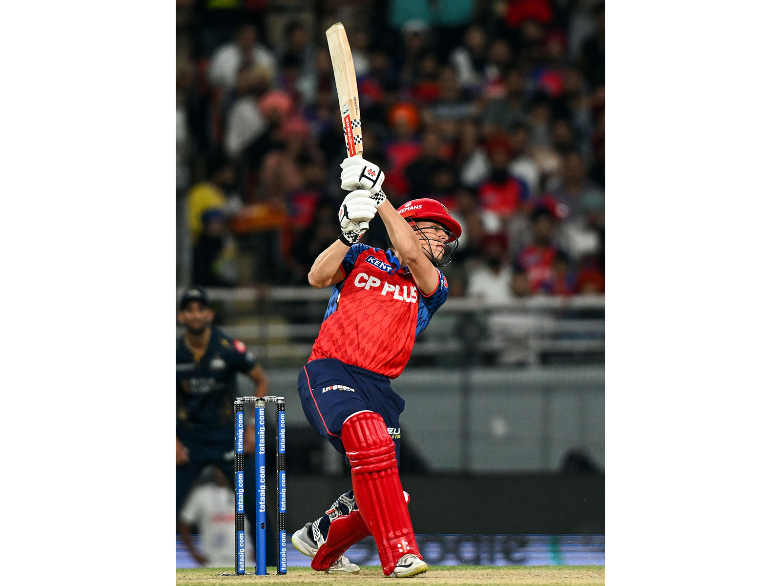 Cooper Connolly (Photo: ANI) Cooper Connolly (Photo: ANI)