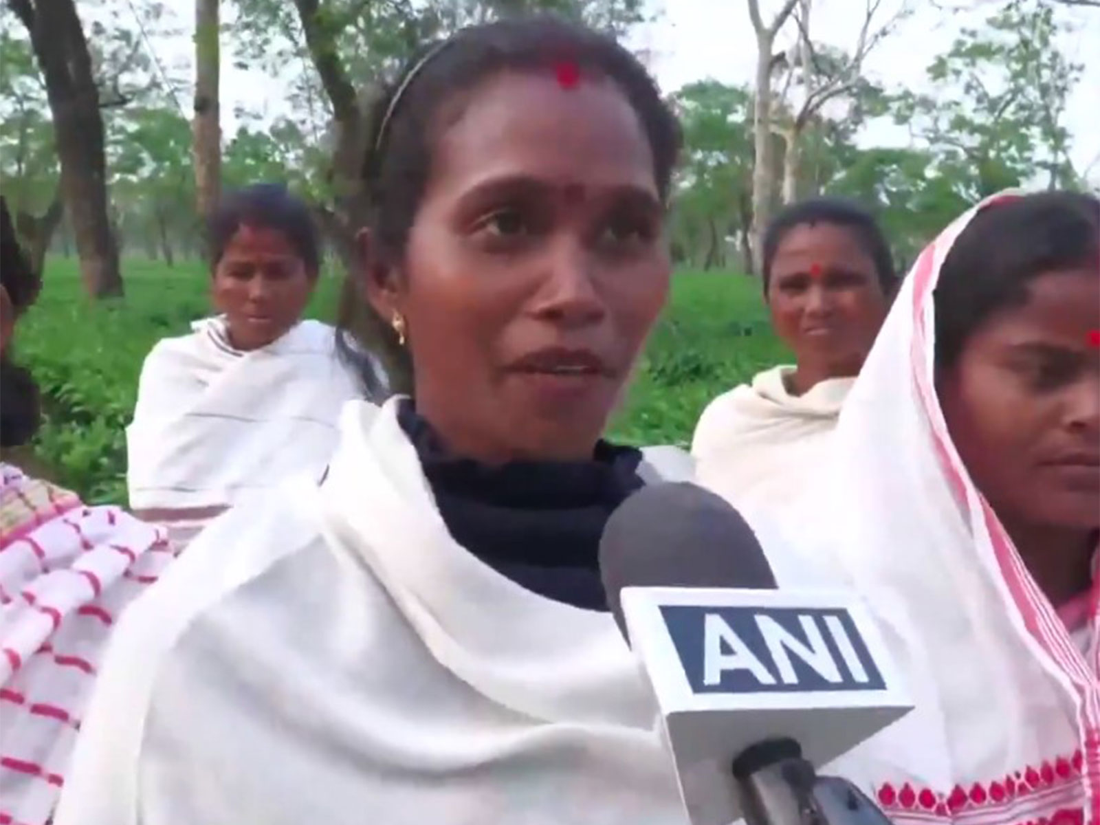 Asian News International (ANI) - Business - News Image