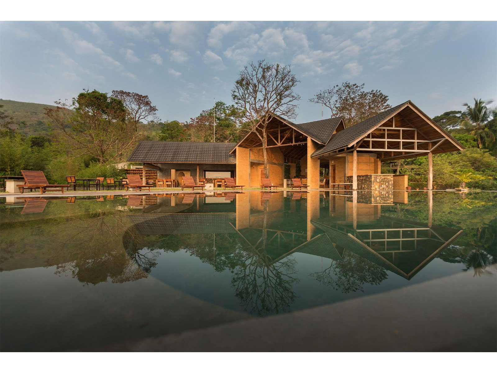 Nature: The ultimate Vitamin. Unlock Freedom from Supplements Overload through Naturopathy