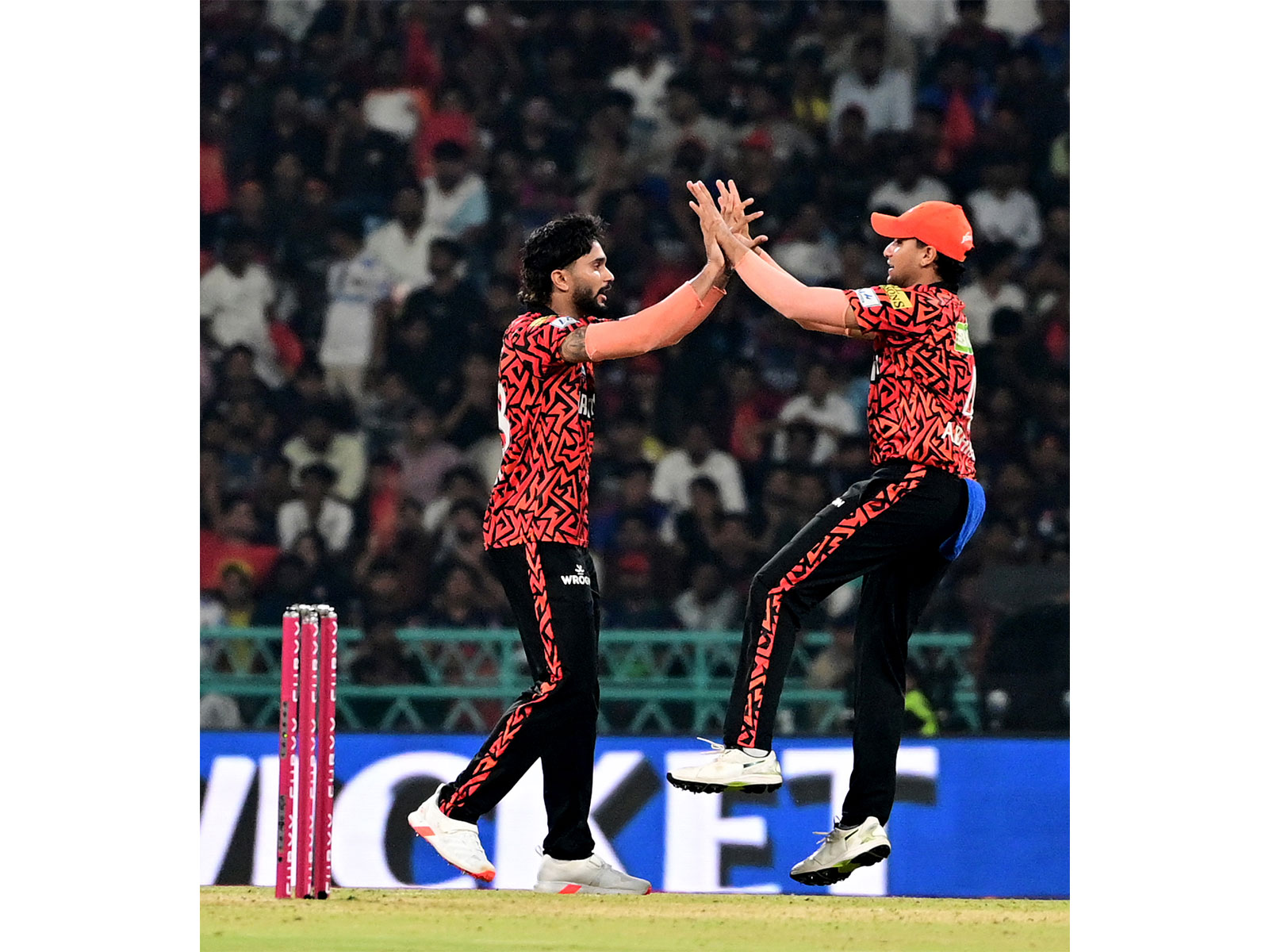 Asian News International (ANI) - Sports - News Image