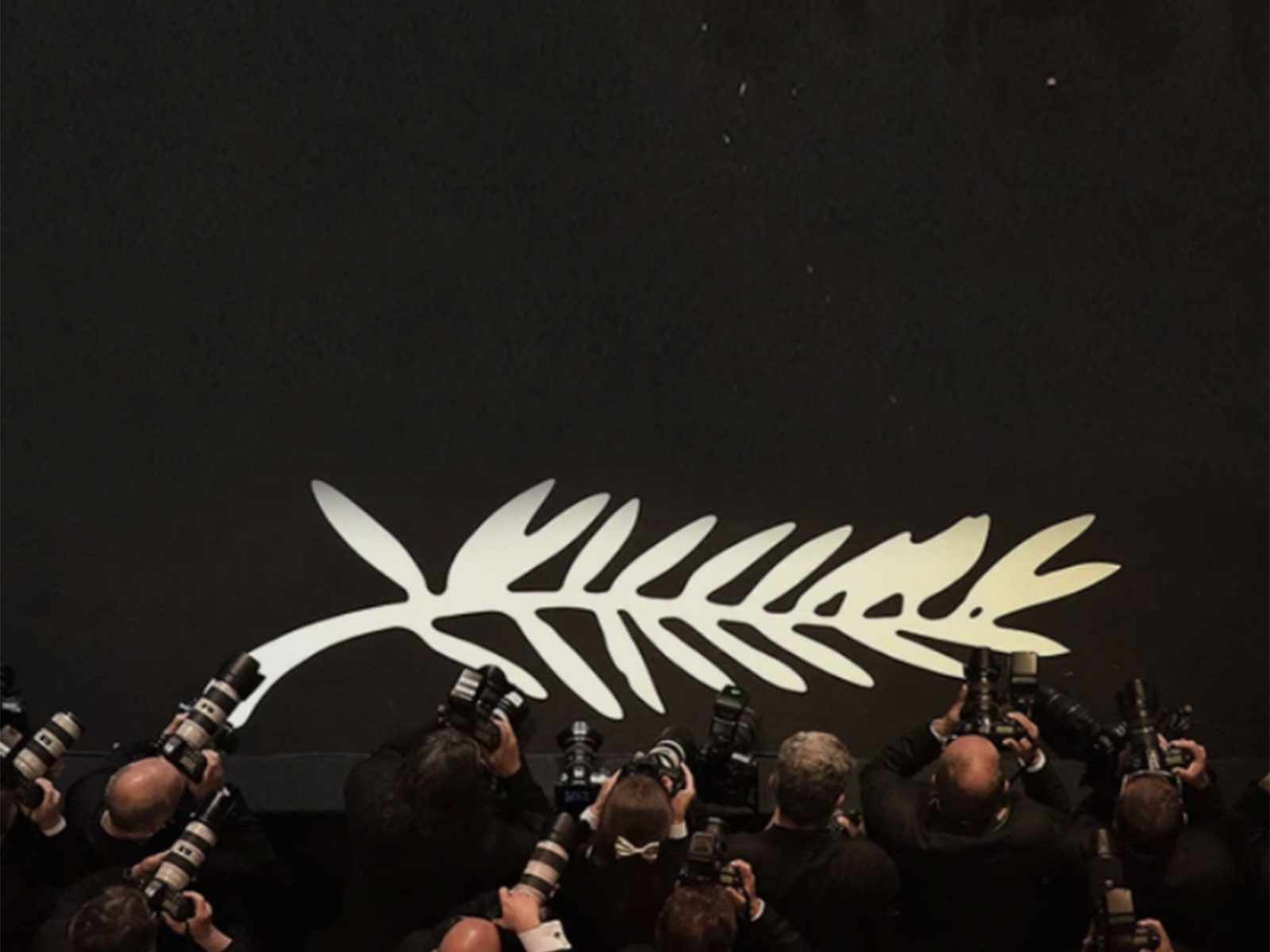 Representative Image (Photo/@FestivaldeCannes) Representative Image (Photo/@FestivaldeCannes)