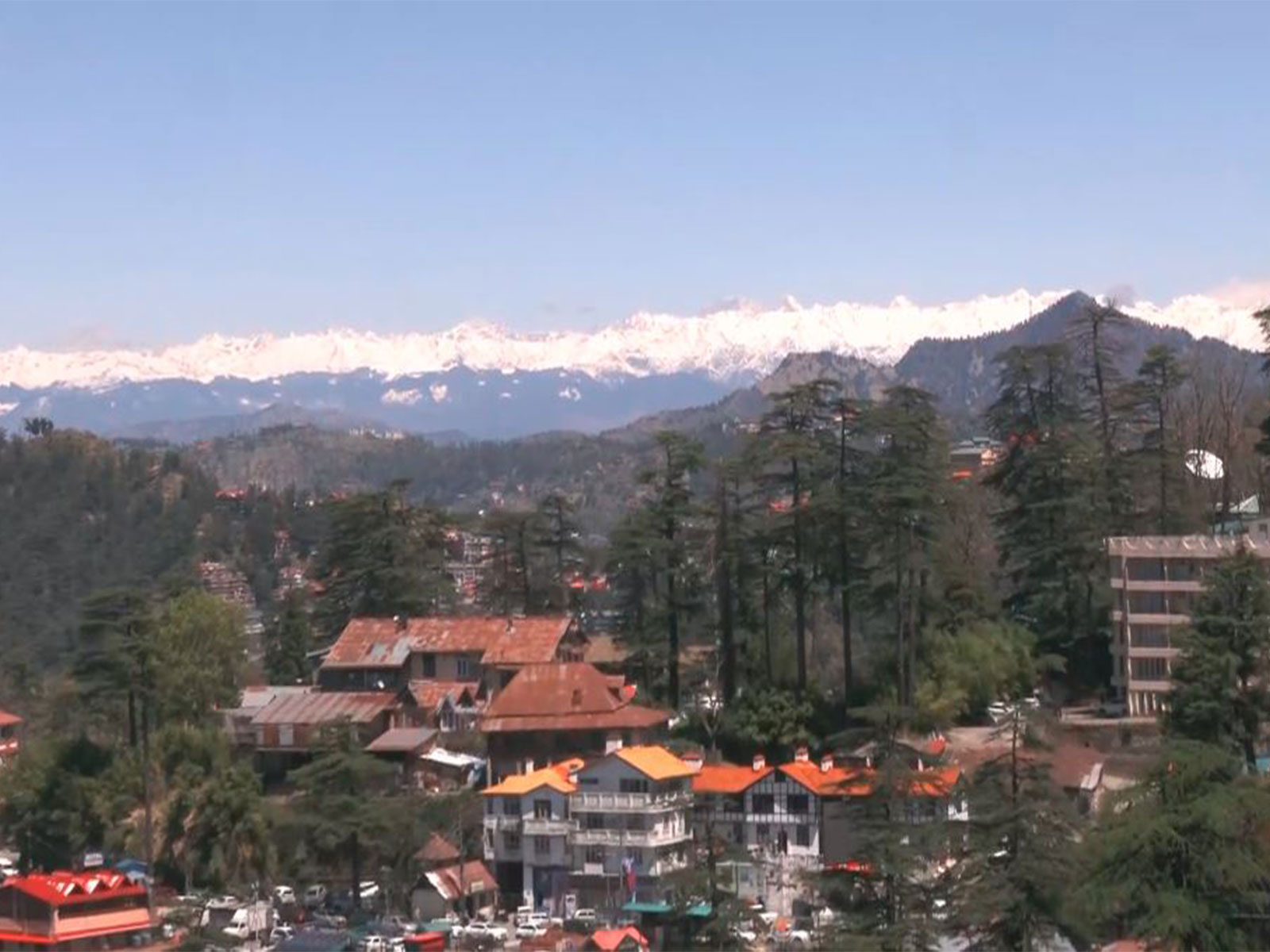 Visual from Shimla (Photo/ANI)