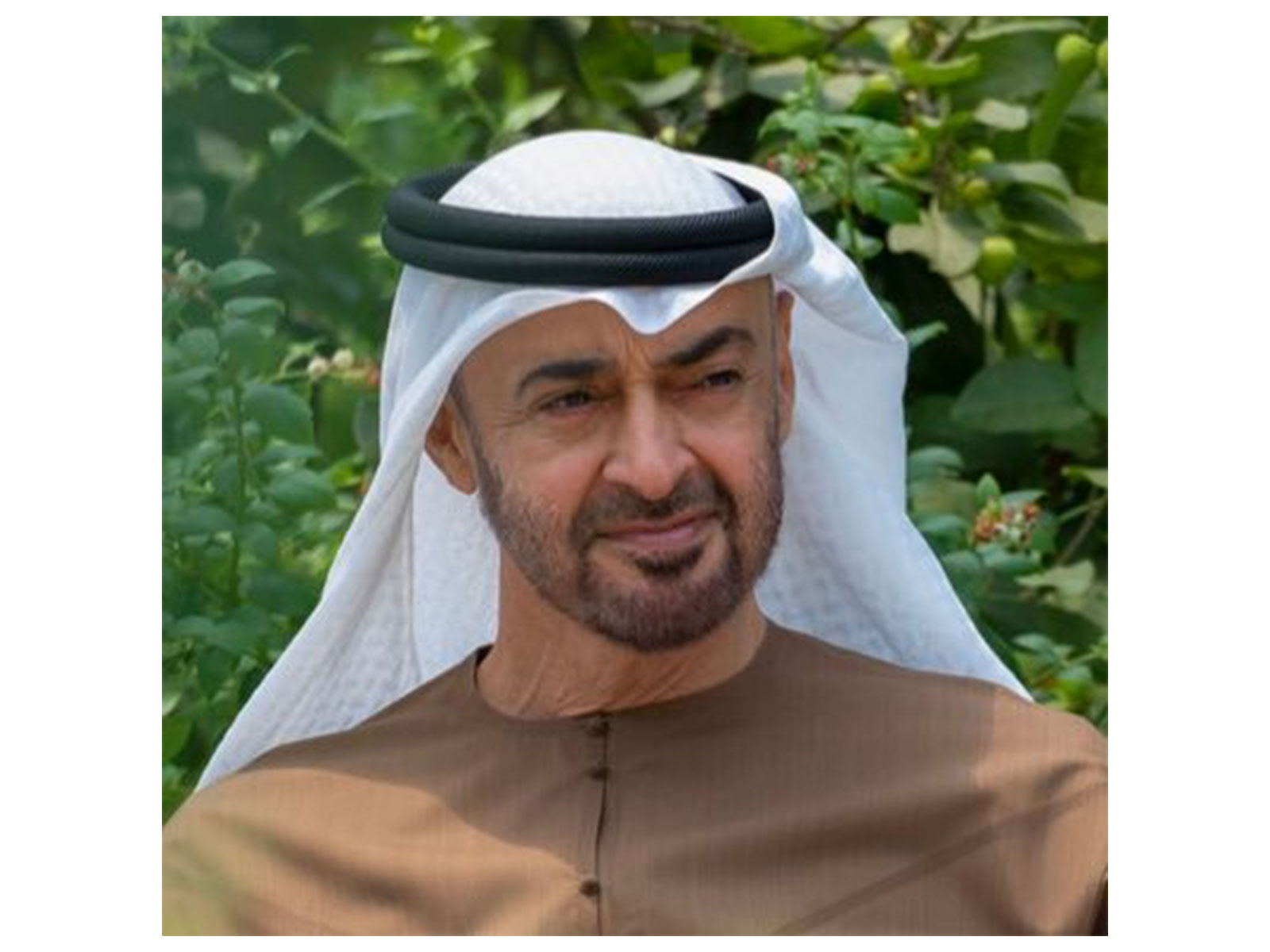 UAE President Mohamed bin Zayed Al Nahyan (File Photo: x/@MohamedBinZayed)