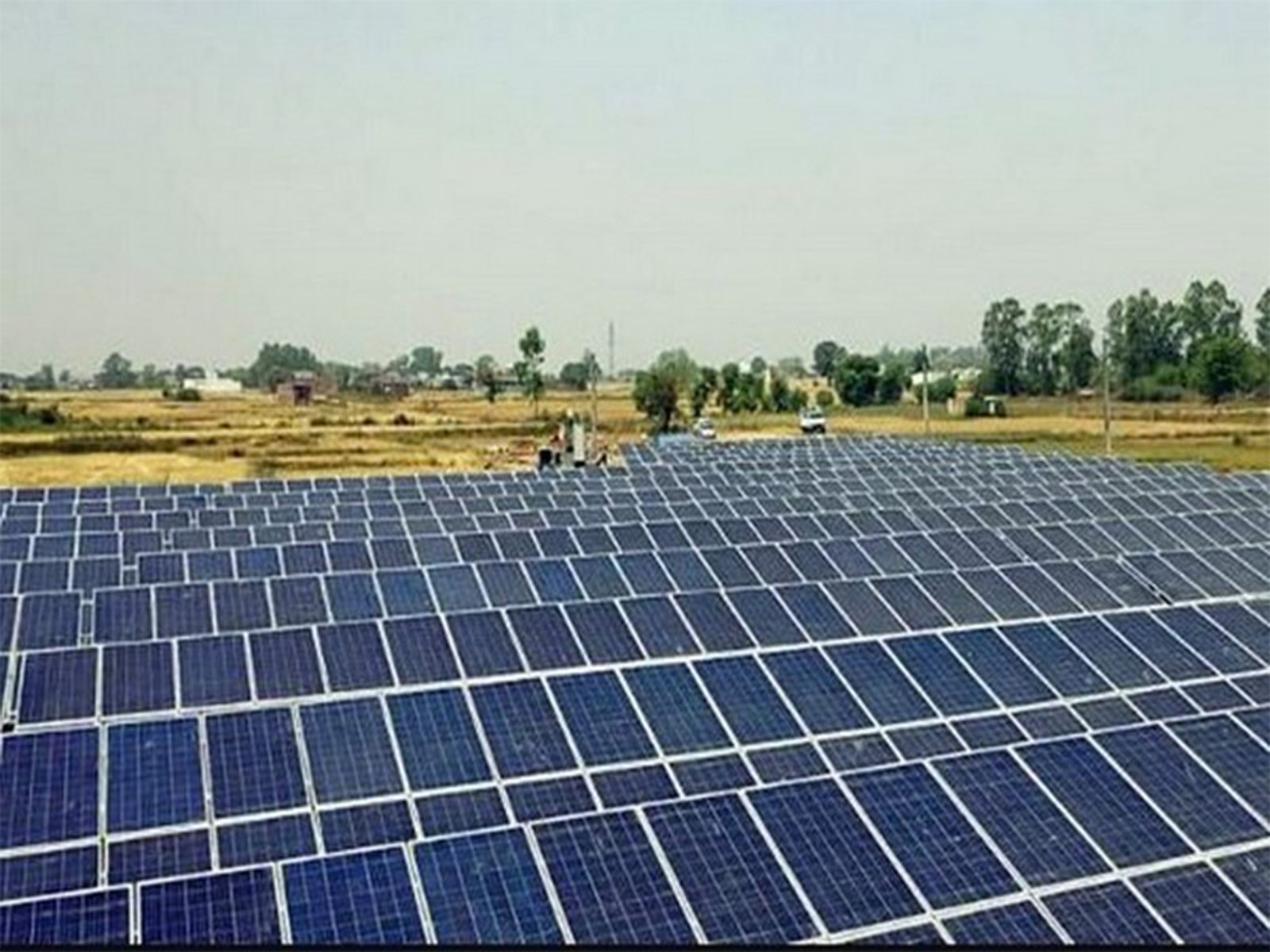 Representative Image (File Photo/ANI) Representative Image (File Photo/ANI)
