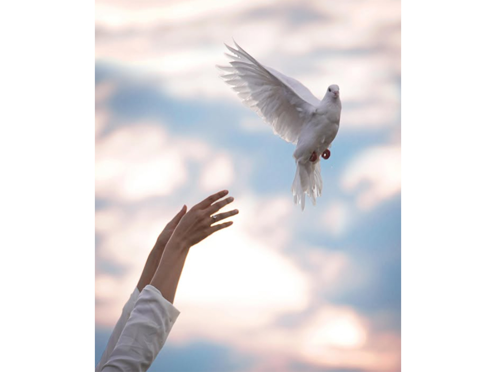 'Awarapan 2' poster (Photo/Instagram/@visheshfilms)