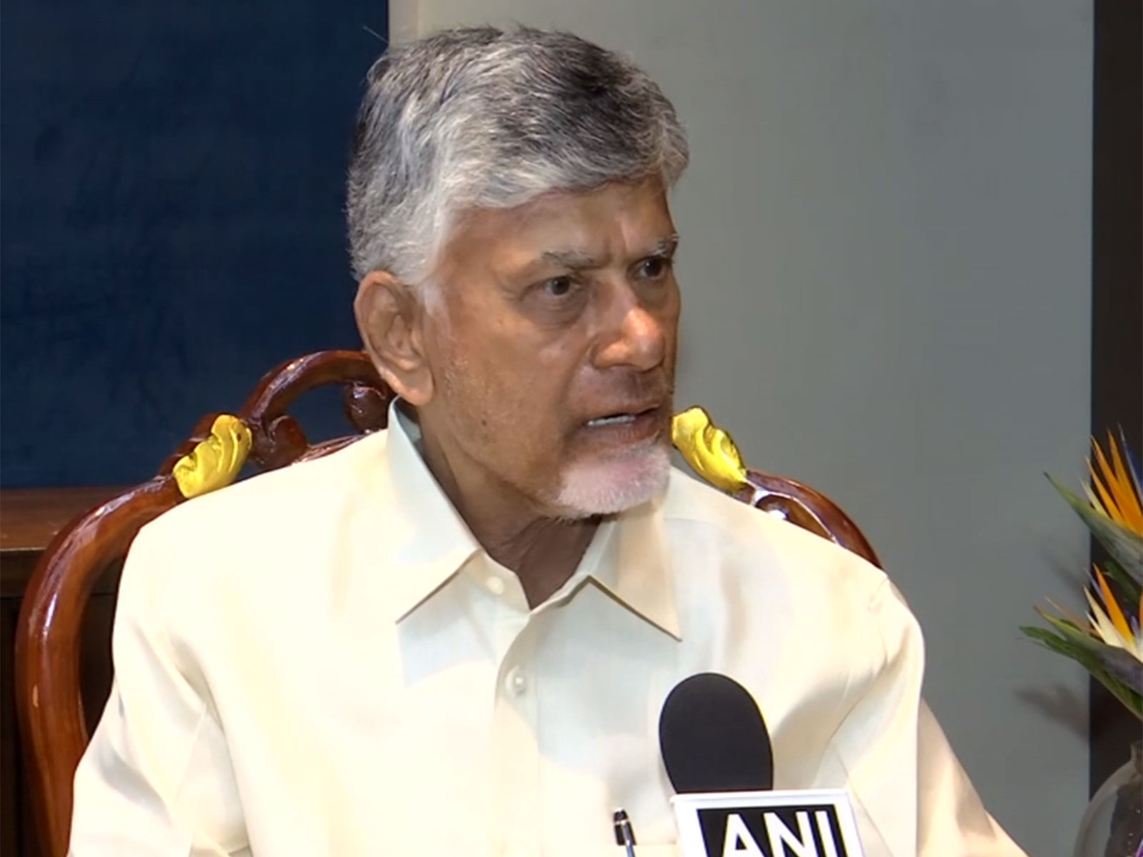 Andhra Pradesh CM Chandrababu Naidu (Photo/ANI)