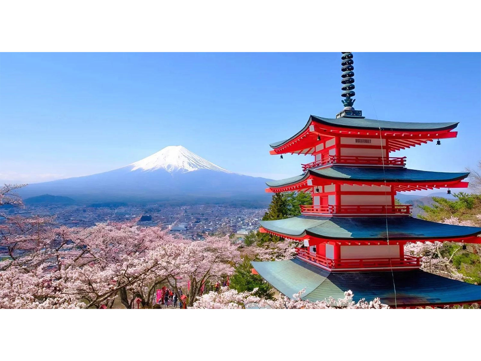 Japan Trip Cost from India: Flights, Hotels, & Daily Expenses Breakdown for Cherry Blossom Season Japan Trip Cost from India: Flights, Hotels, & Daily Expenses Breakdown for Cherry Blossom Season