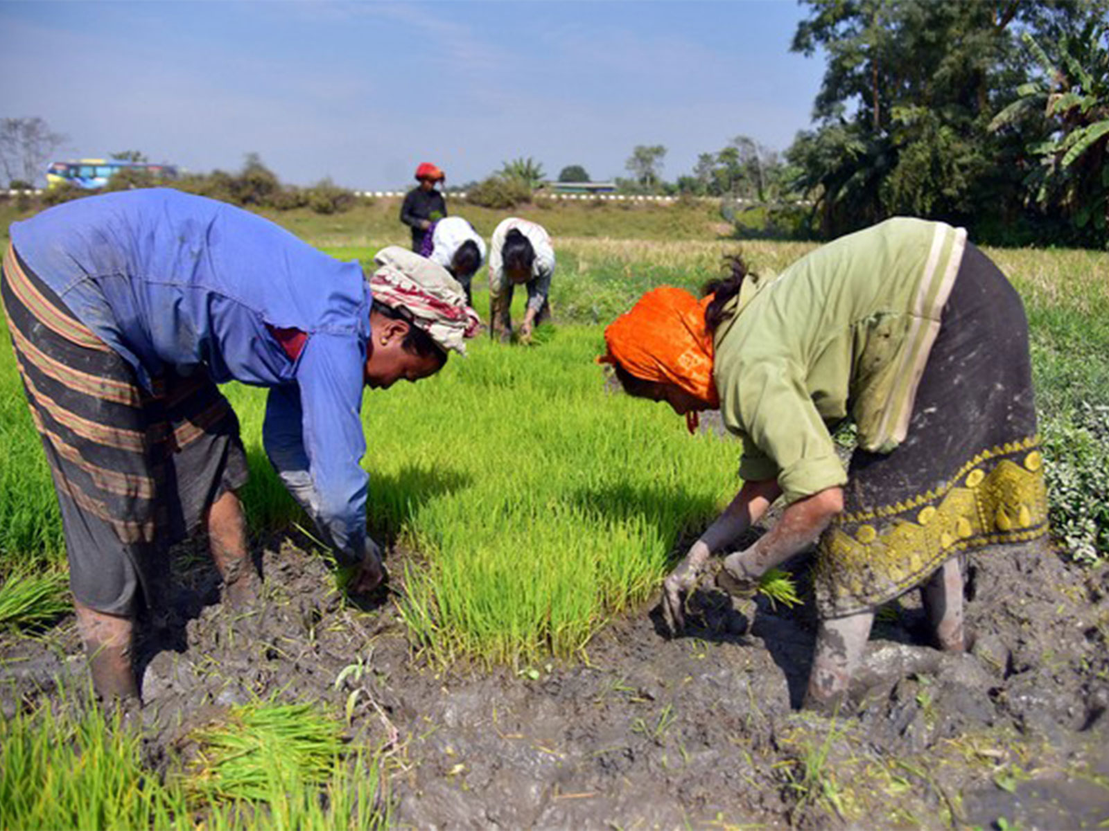 Representative Image (Photo/ANI) Representative Image (Photo/ANI)