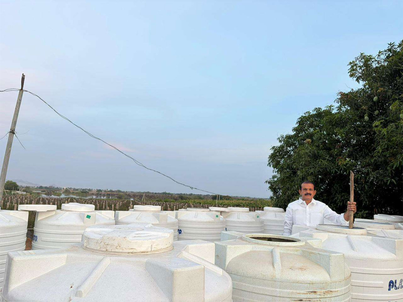 Revolution from Anantapur: Farmer Mekala Shiva Shankar Reddy Redefines High-Yield, Chemical-Free Farming in India Revolution from Anantapur: Farmer Mekala Shiva Shankar Reddy Redefines High-Yield, Chemical-Free Farming in India