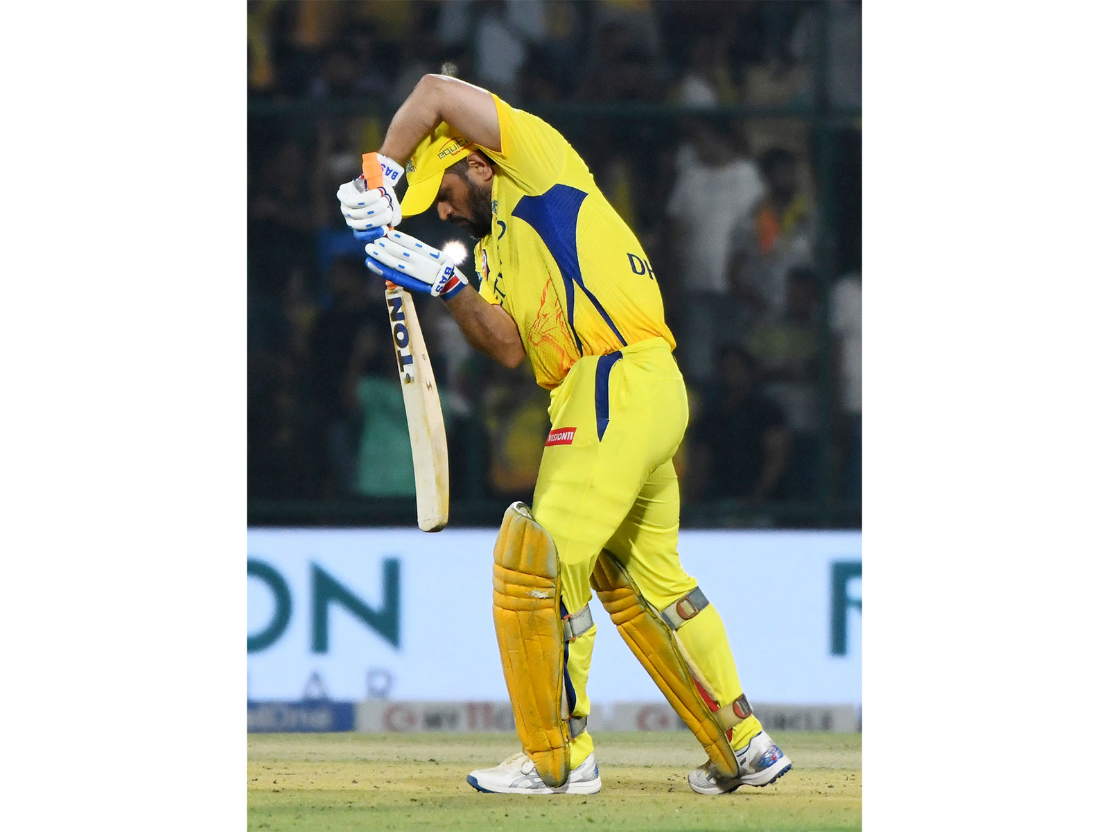 MS Dhoni (Photo/ANI) MS Dhoni (Photo/ANI)
