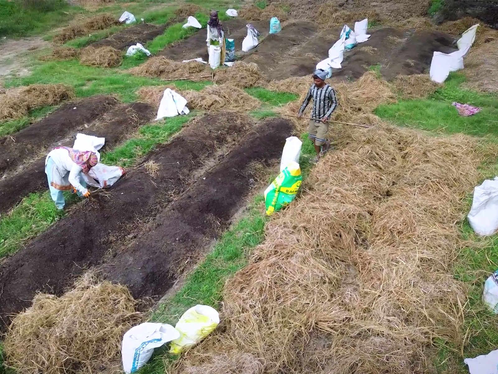 India’s farming moves beyond tradition to smart agriculture (Photo/ANI)