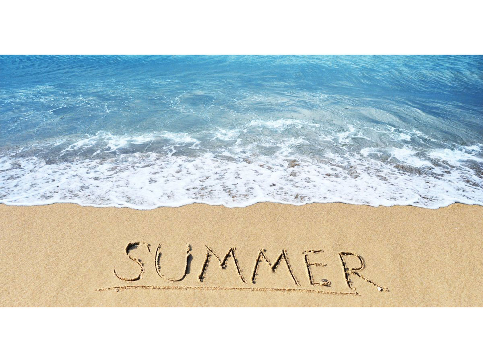 Delvia Holidays International Reviews & Holiday Experiences