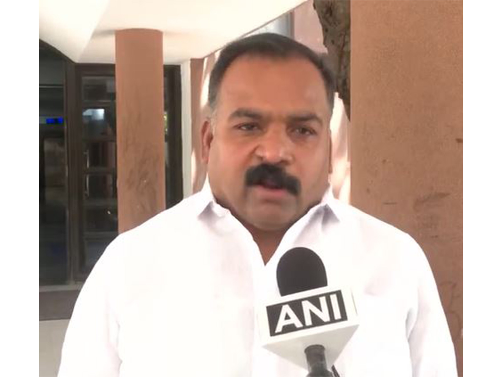 Congress MP Manickam Tagore (Photo/ANI)