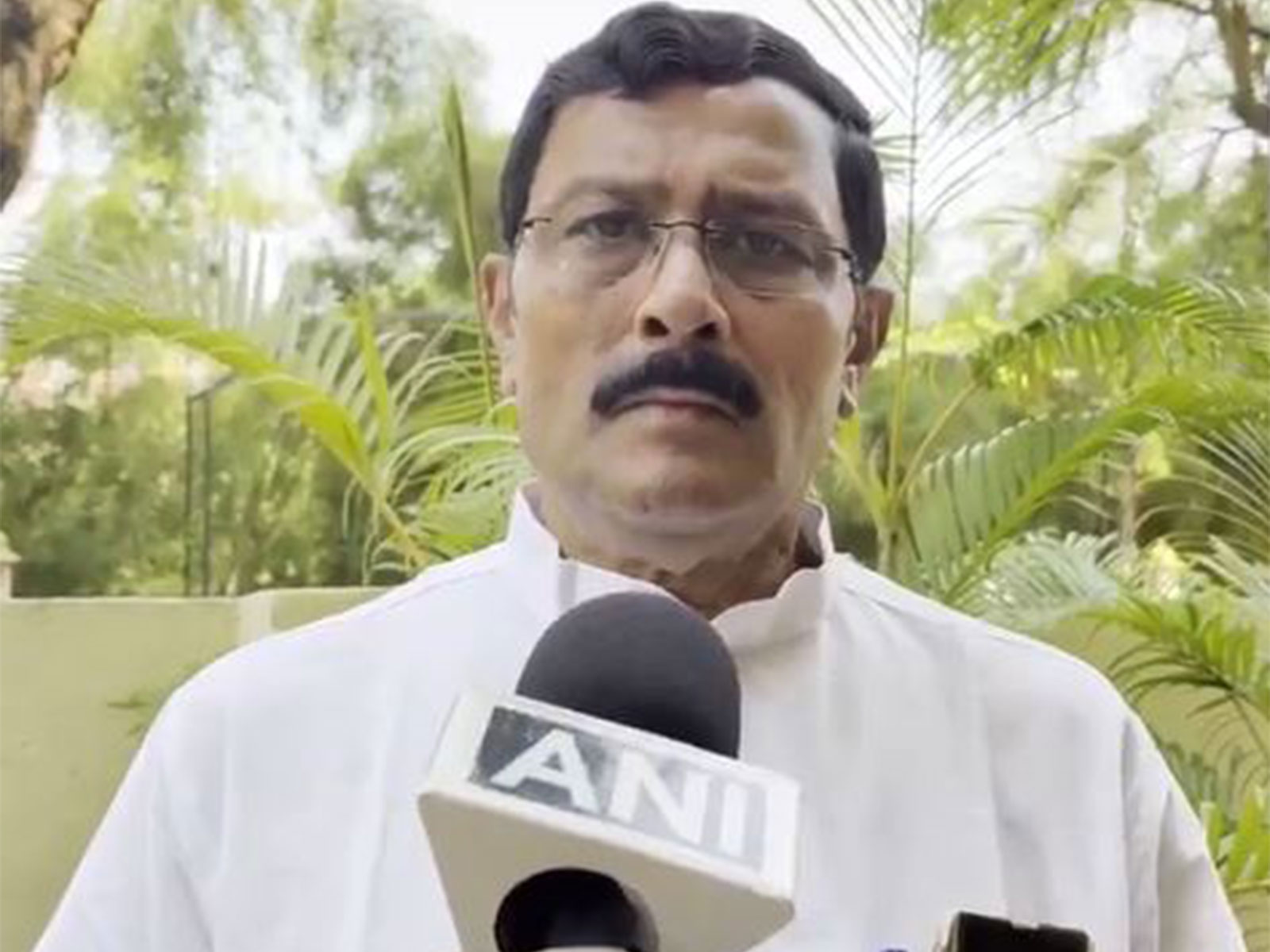 BJP MP Rahul Sinha (Photo/ANI)