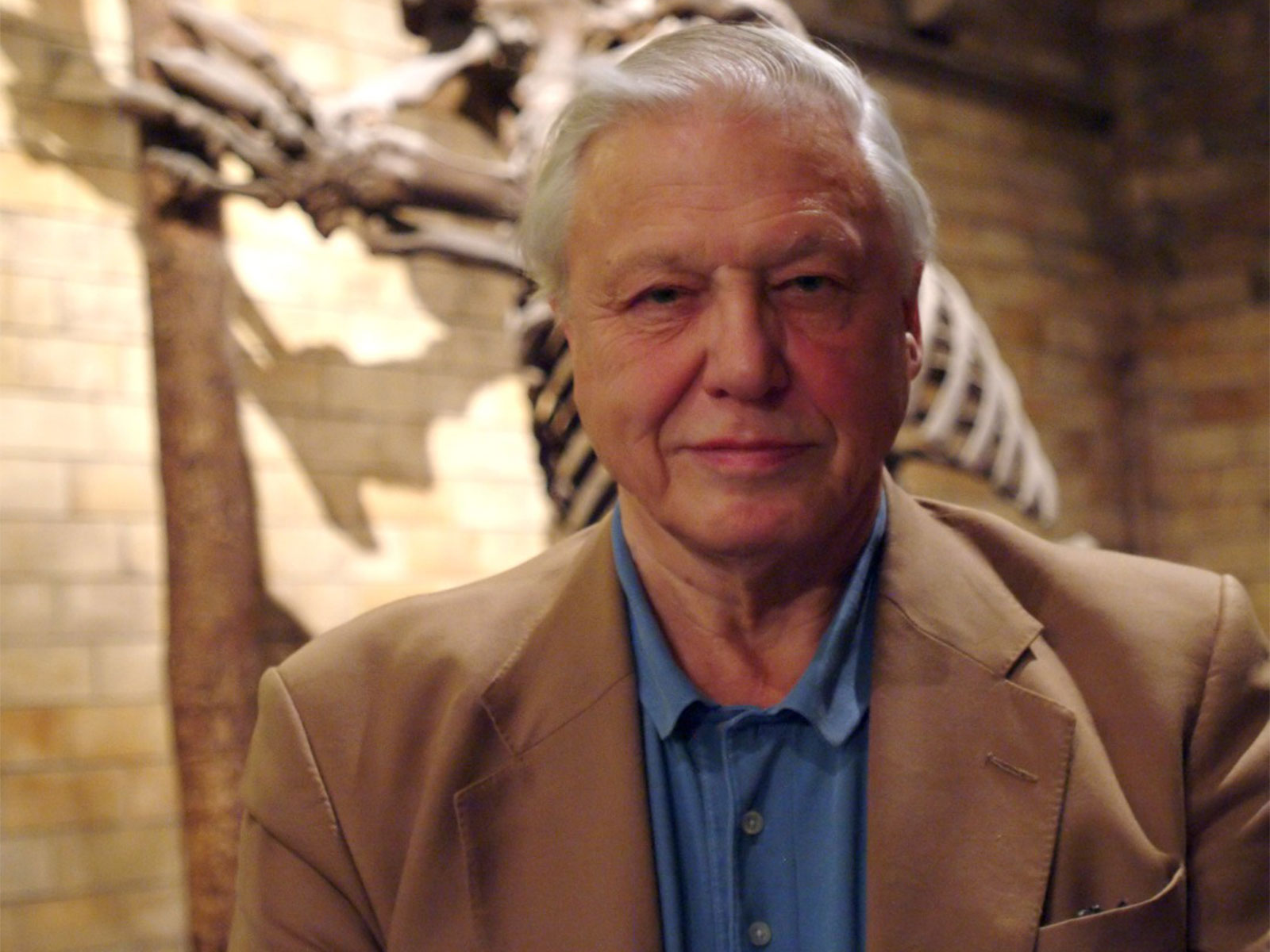 David Attenborough (Photo/Instagram@NaturalHistoryMuseum)