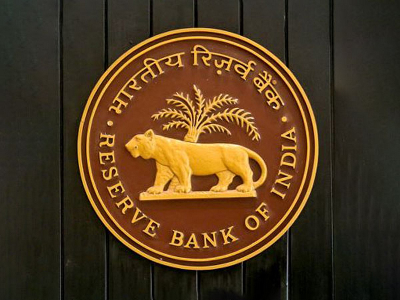 RBI Logo (File Photo/ANI) RBI Logo (File Photo/ANI)