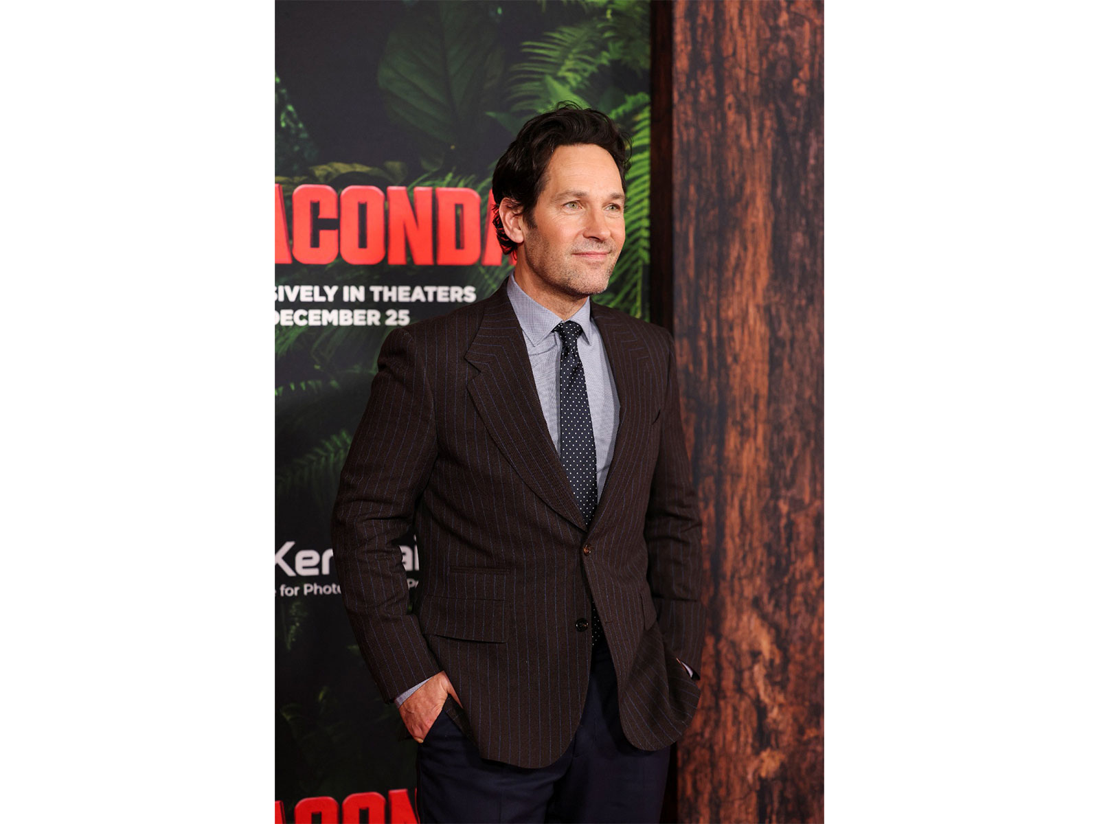 Paul Rudd (Photo/Reuters) Paul Rudd (Photo/Reuters)