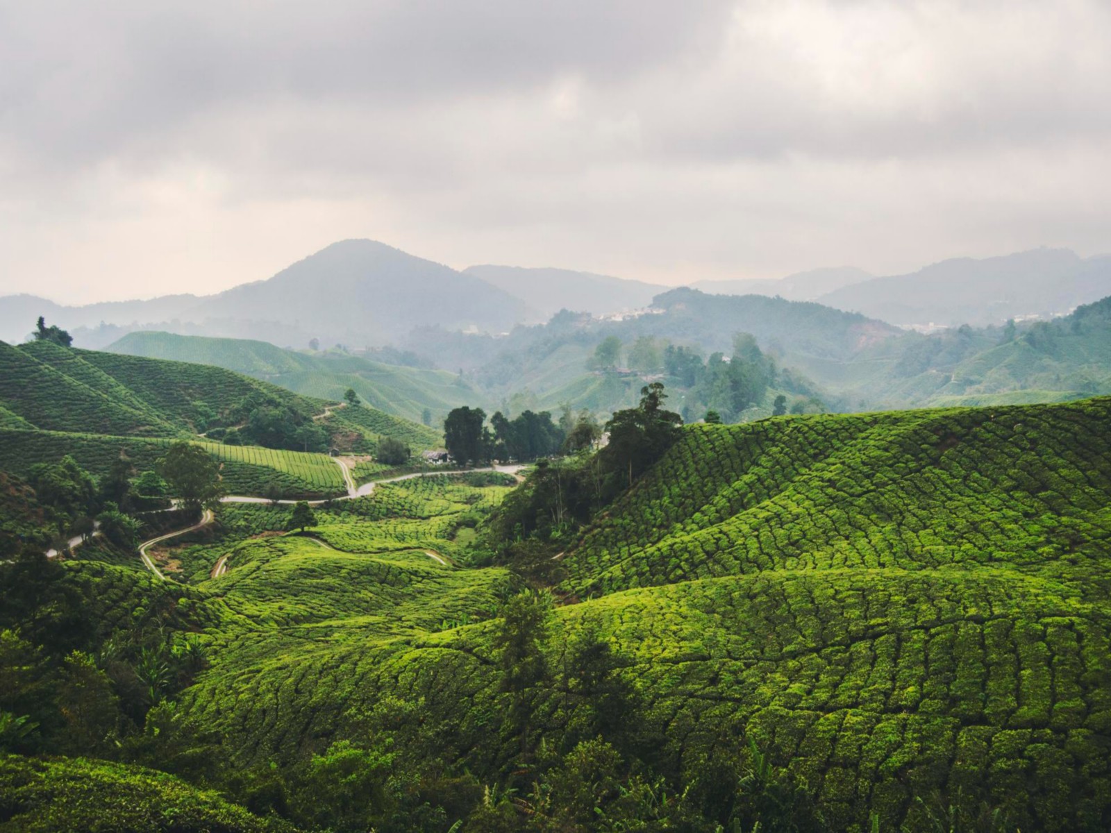Indian Travellers Turn to Offbeat Domestic Destinations Amid Global Uncertainty and Rising Travel Costs Indian Travellers Turn to Offbeat Domestic Destinations Amid Global Uncertainty and Rising Travel Costs