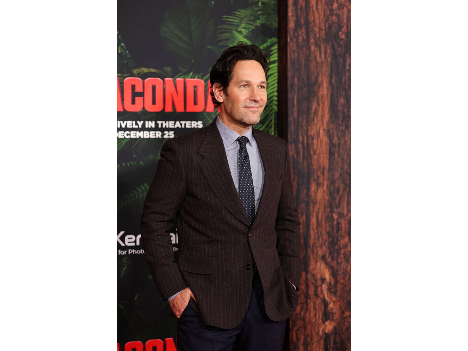 Paul Rudd (Photo/Reuters) Paul Rudd (Photo/Reuters)