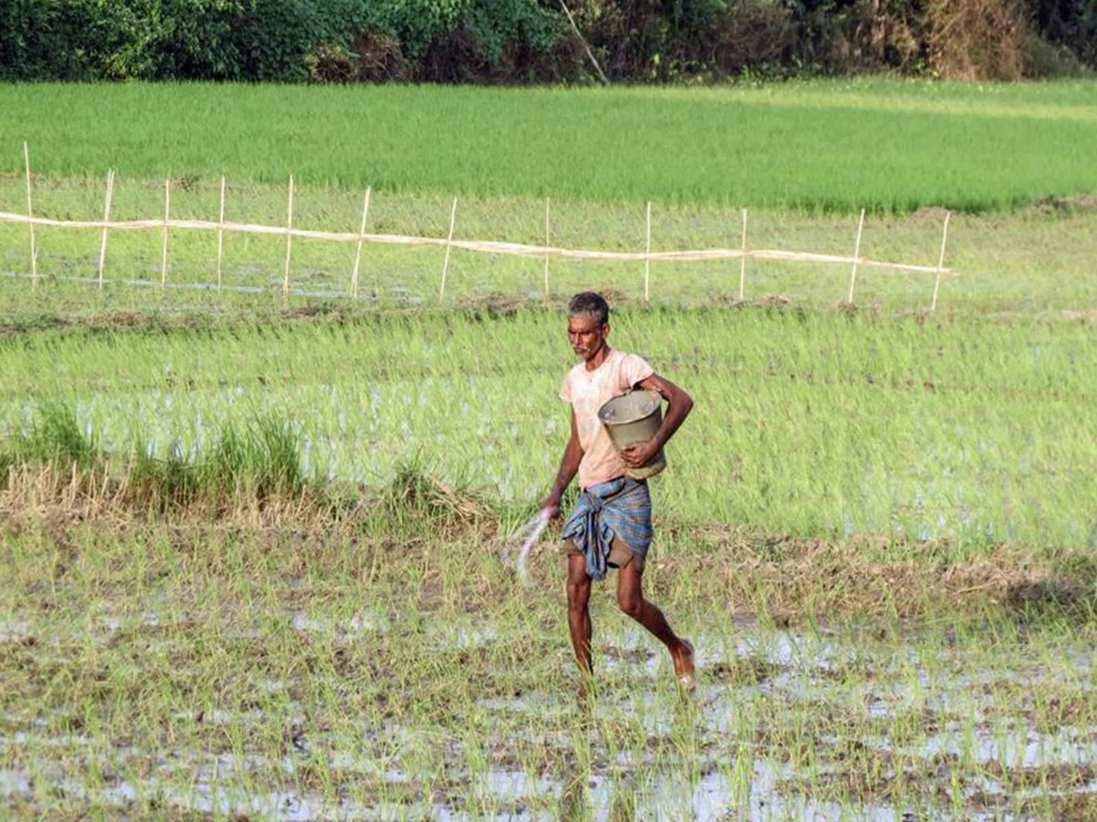 Representative Image of bank. (File Photo/ANI) Representative Image of bank. (File Photo/ANI)