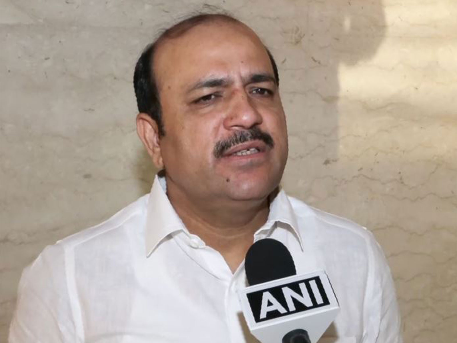 Congress leader Danish Ali (Photo/ANI) Congress leader Danish Ali (Photo/ANI)