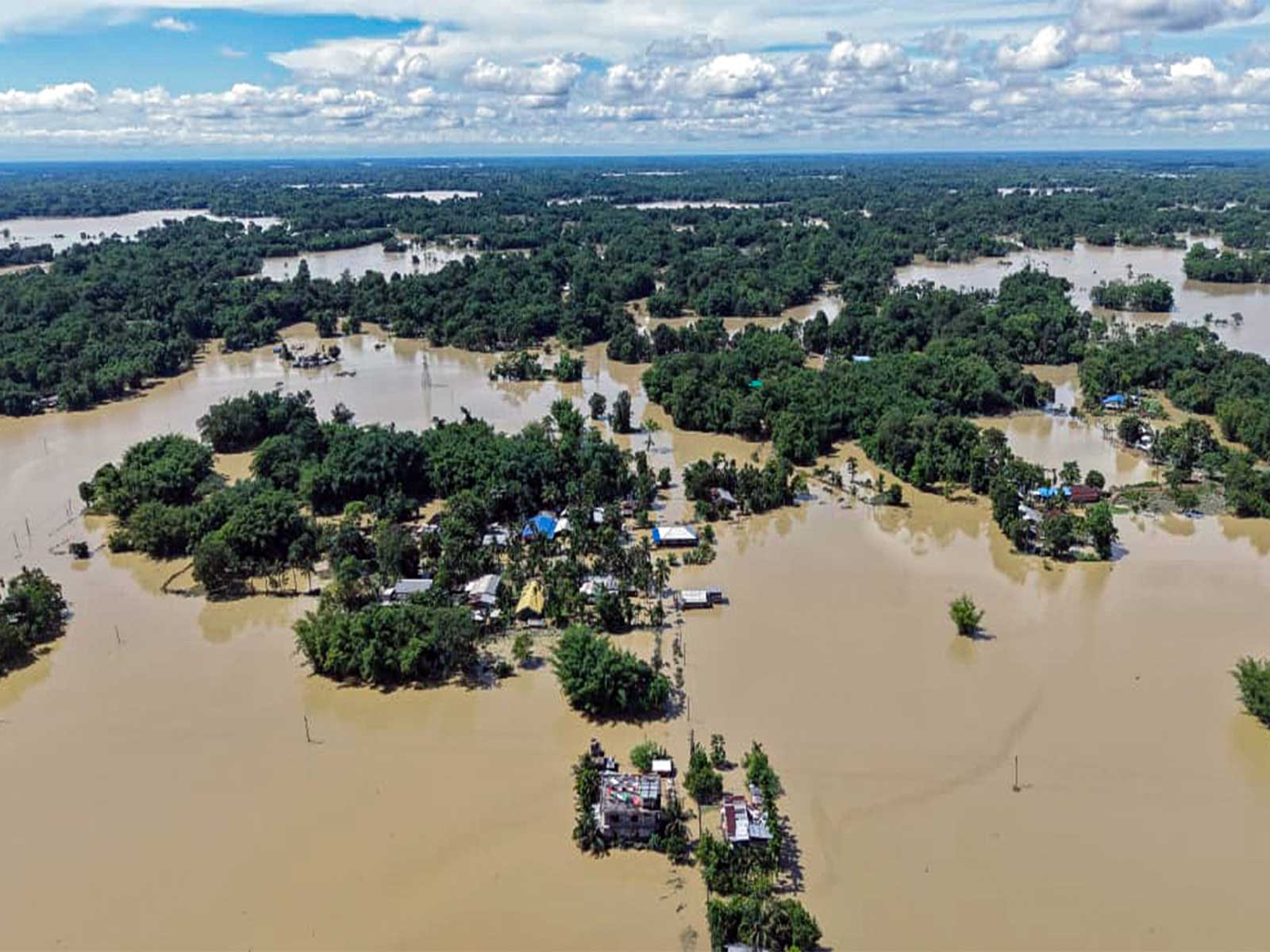 Assam flood (Photo/ANI)