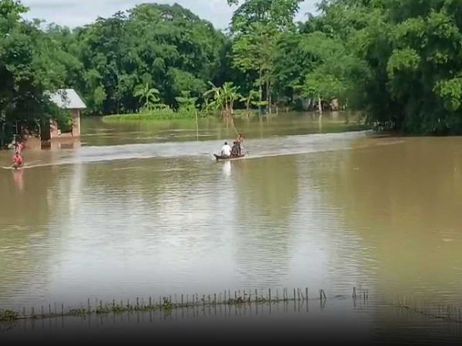 Assam flood (Photo/ANI)
