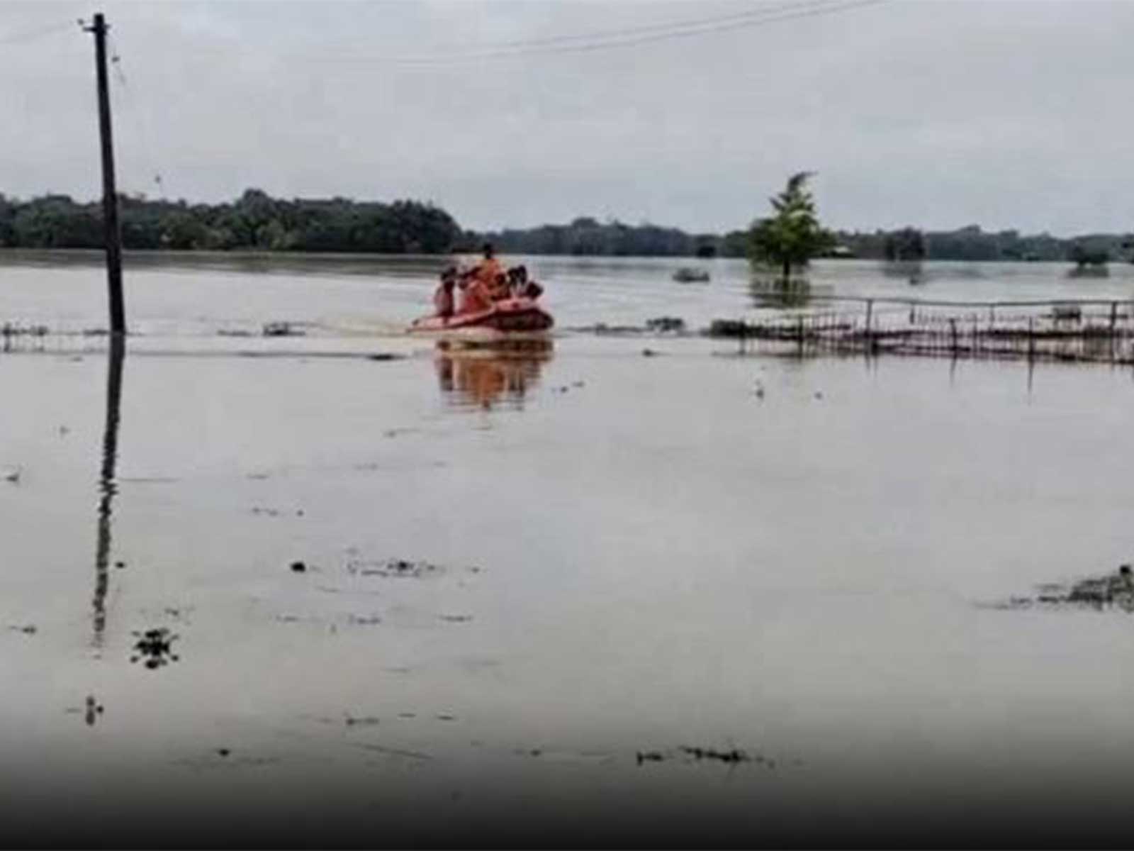 Flood devastation in Assam's Golaghat: 52,000 families affected (Photo/ANI)