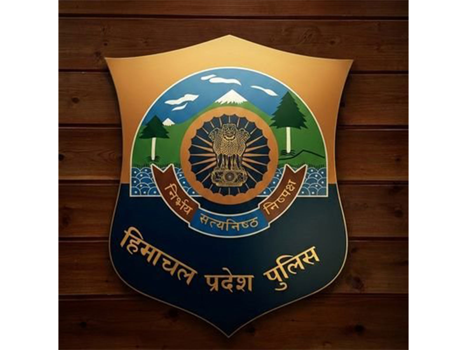 Himachal Pradesh Police (Photo/X/@himachalpolice)